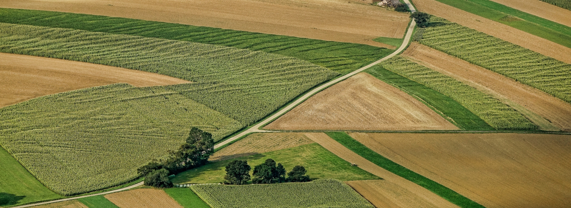 Экономическая земля. Рынок земли природа фото. Faster developed Land.